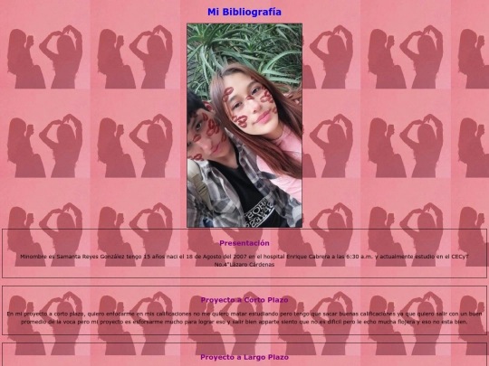 Mi bibliografia screenshot