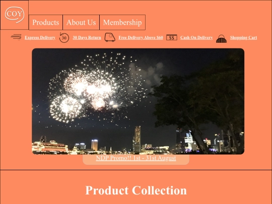 products screenshot
