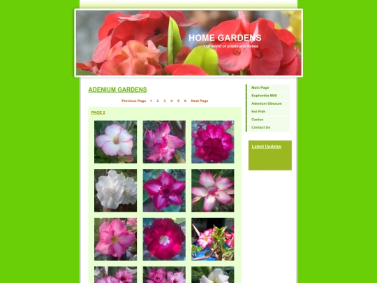 Adenium2 screenshot
