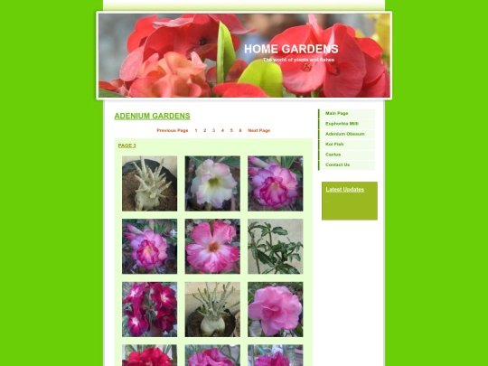Adenium3 screenshot