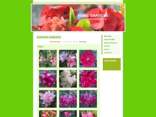 Adenium4 screenshot