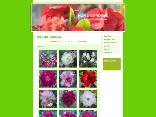 Adenium5 screenshot