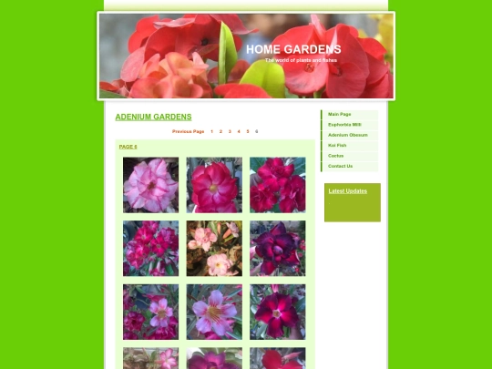 Adenium6 screenshot