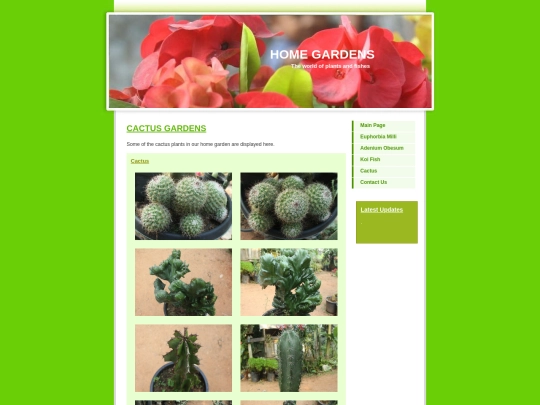 Cactus screenshot