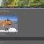 jerboagoat.neocities.org avatar