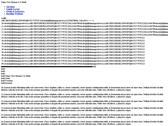 fonts/times_new_roman_bold-demo screenshot