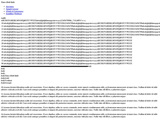 fonts/times_new_roman_bold_italic-demo screenshot
