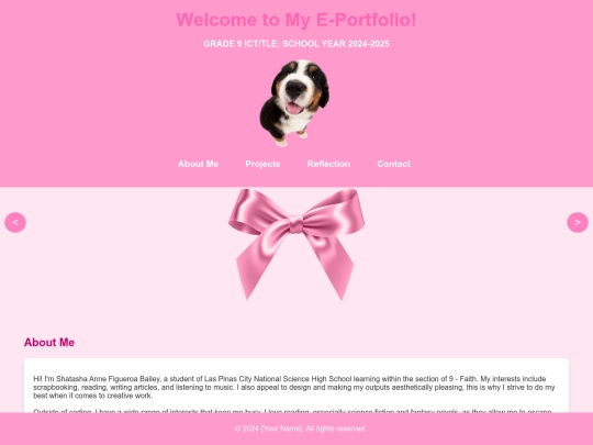 portfolio2 screenshot