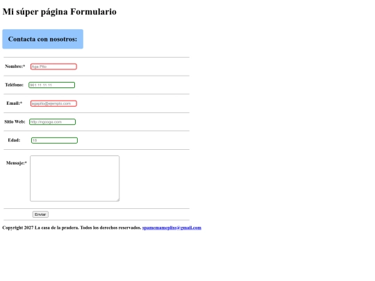 formulario screenshot