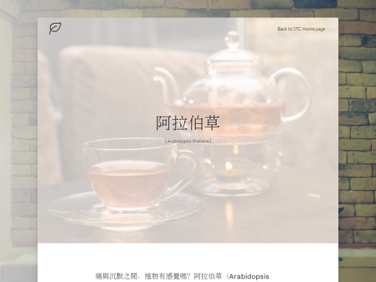 stc-NAME screenshot