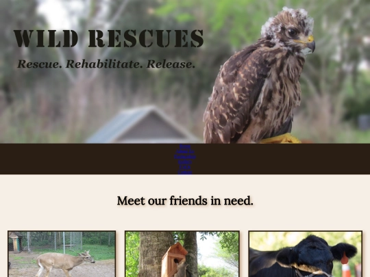 rescue/gallery screenshot