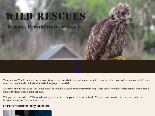 rescue screenshot