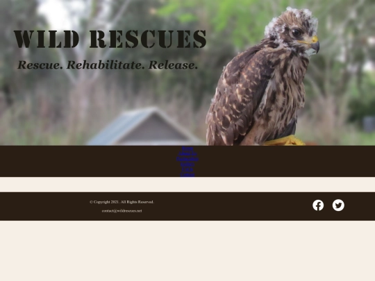 rescue/template screenshot