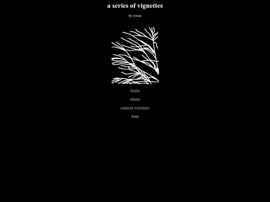 projects/vignettes screenshot