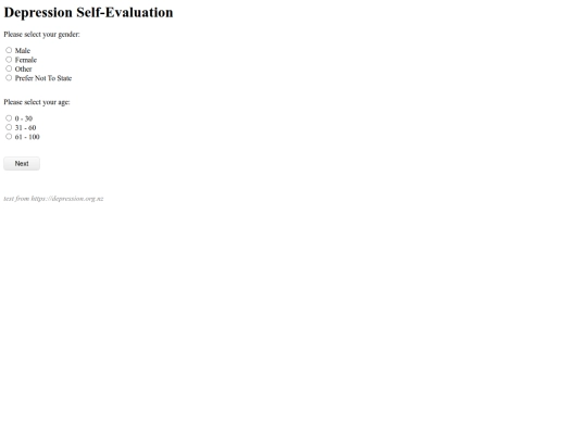projects/vignettes/self-eval screenshot