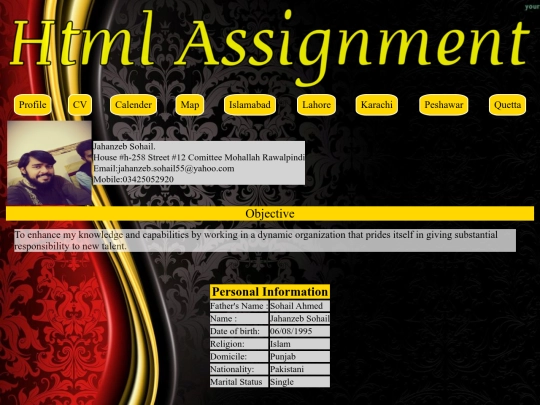 cv screenshot