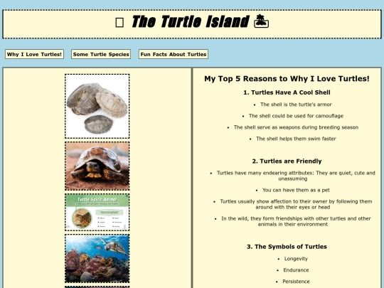 iheartturtles screenshot