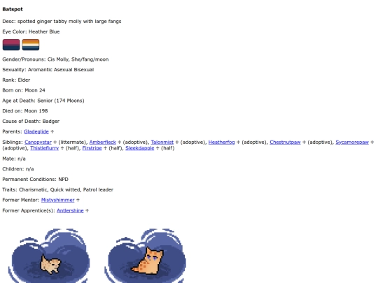 batspot screenshot