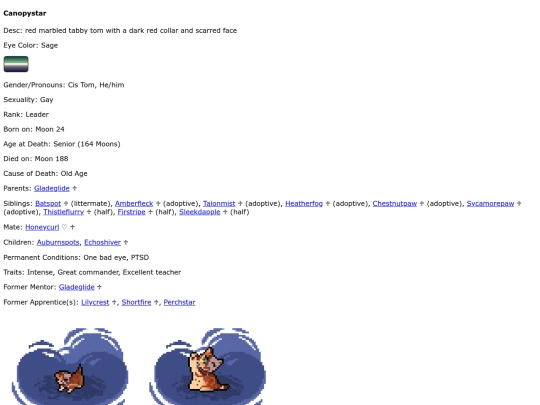 canopystar screenshot