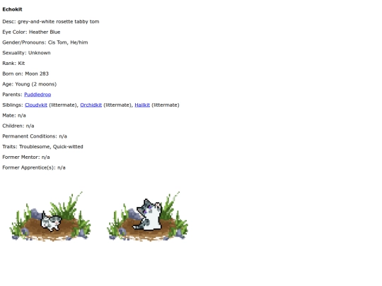 echokit screenshot