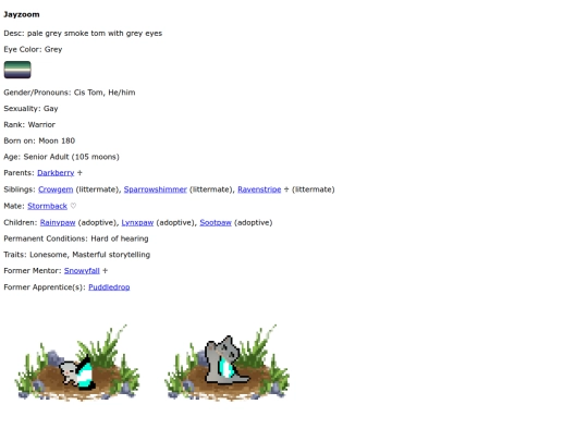 jayzoom screenshot