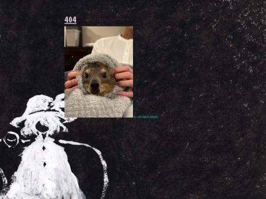 404 screenshot