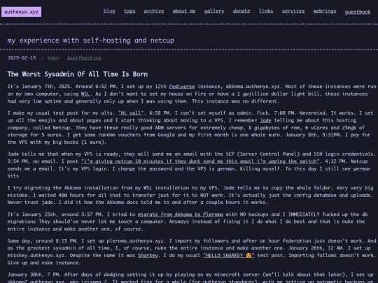 blog/posts/15-02-2025-my-experience-with-self-hosting-and-netcup screenshot