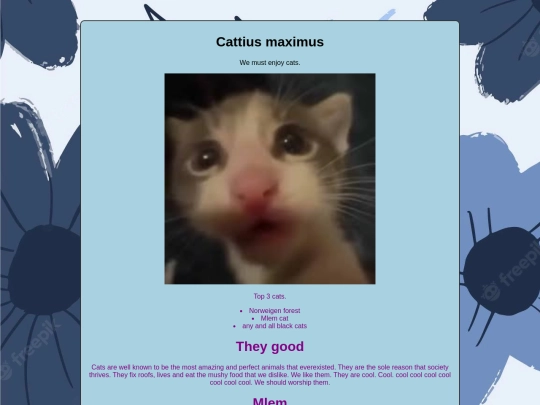 cats screenshot