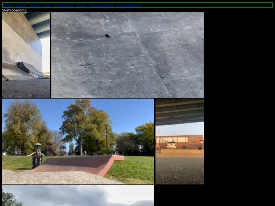 skateboarding screenshot