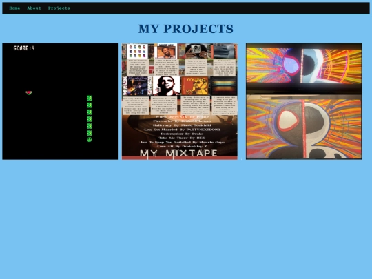 projects screenshot