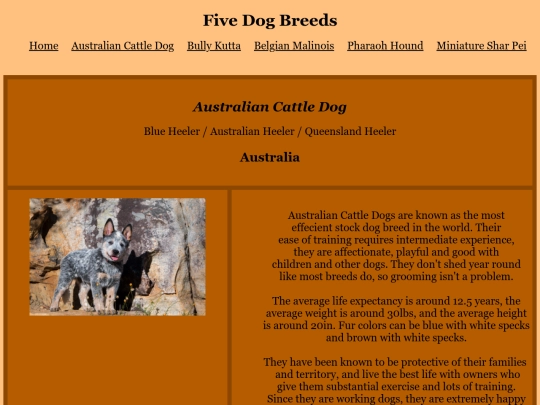 html/cattleDog screenshot