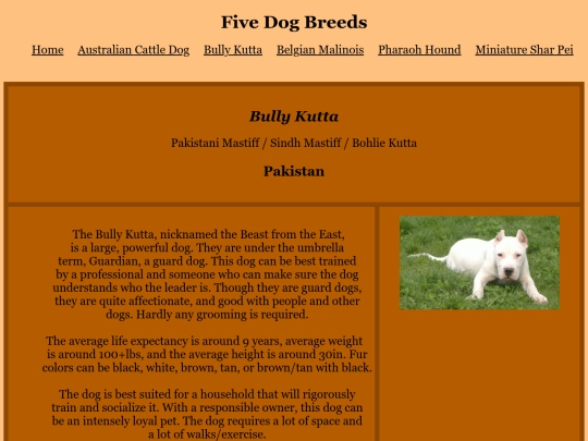 html/kutta screenshot