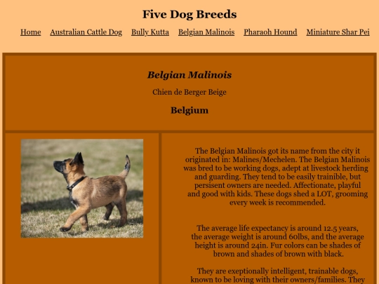 html/malinois screenshot