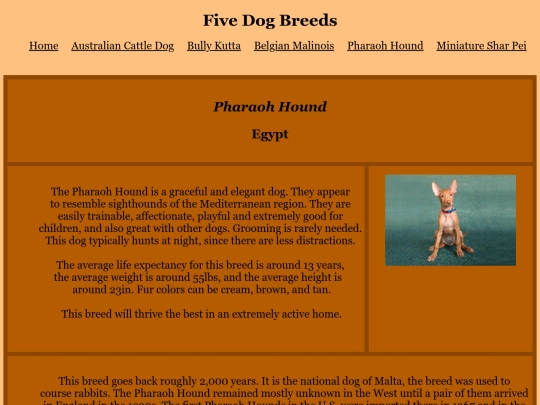 html/pharaoh screenshot