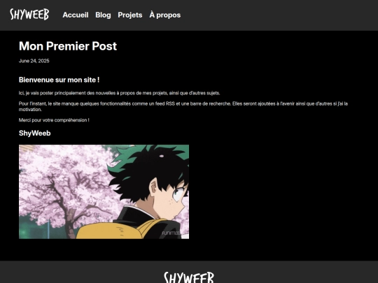 blog/mon-premier-post screenshot
