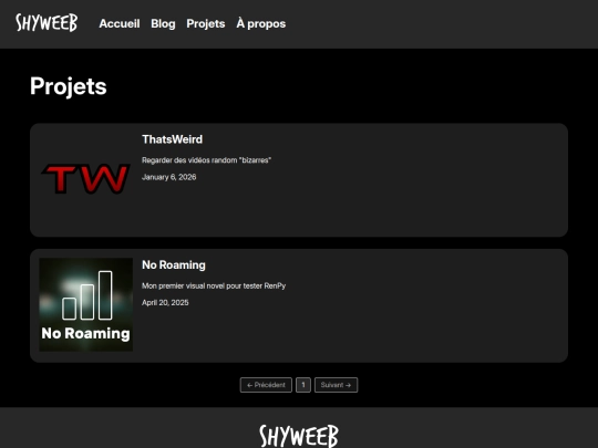 projets screenshot