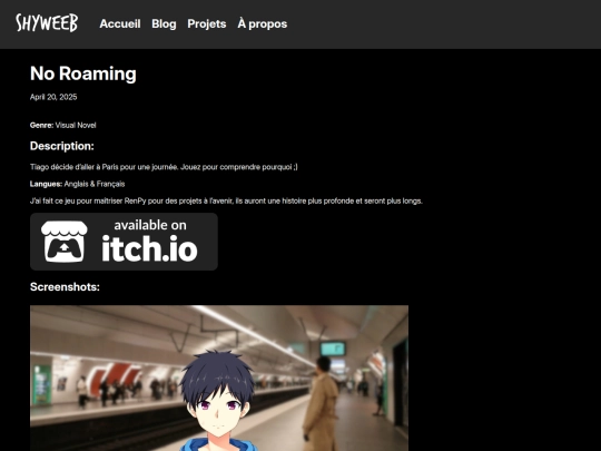 projets/no-roaming screenshot