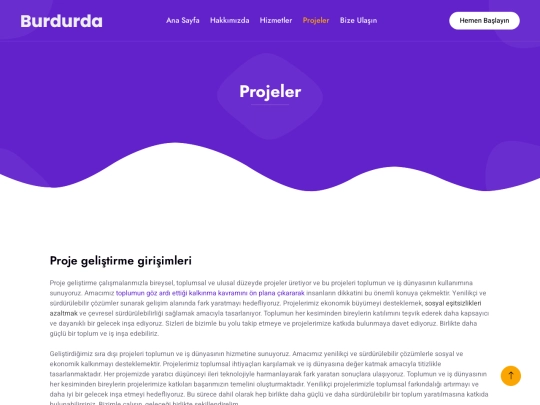 project screenshot