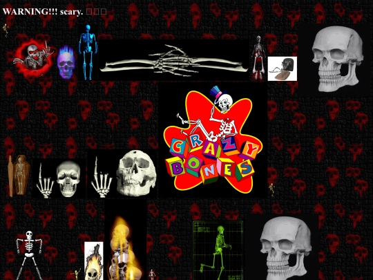 theskeletonzone screenshot