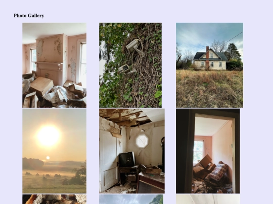 gallery screenshot