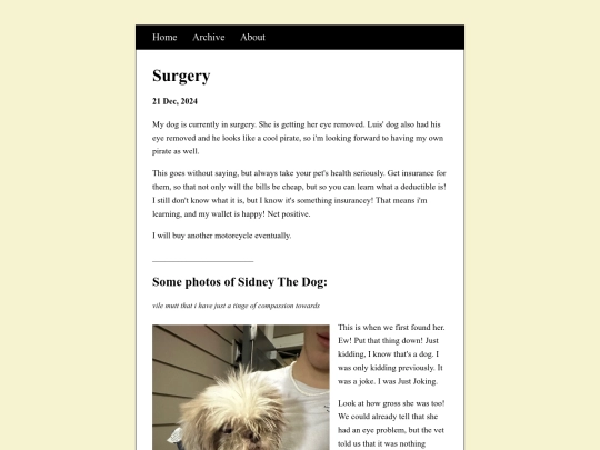 posts/2024-12-21-Surgery screenshot