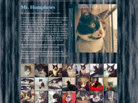 mrhumphries screenshot