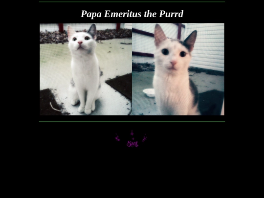 purrd screenshot