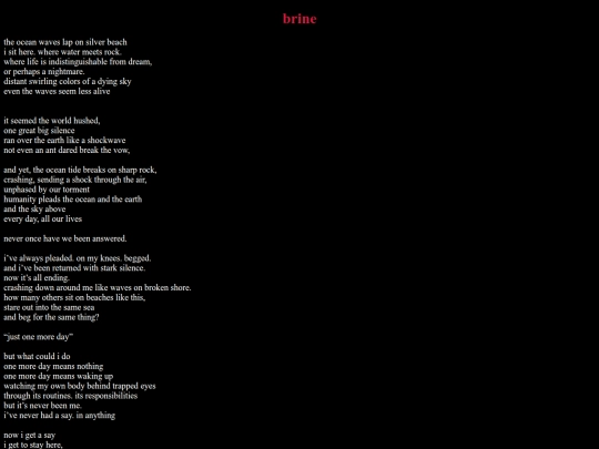brine screenshot