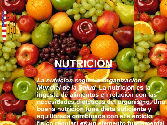 nutricion screenshot