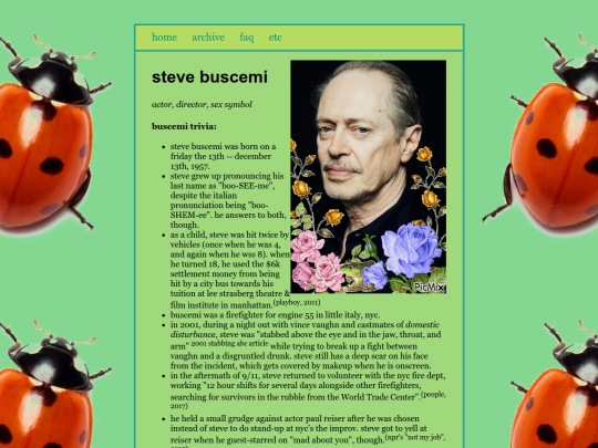 steve screenshot