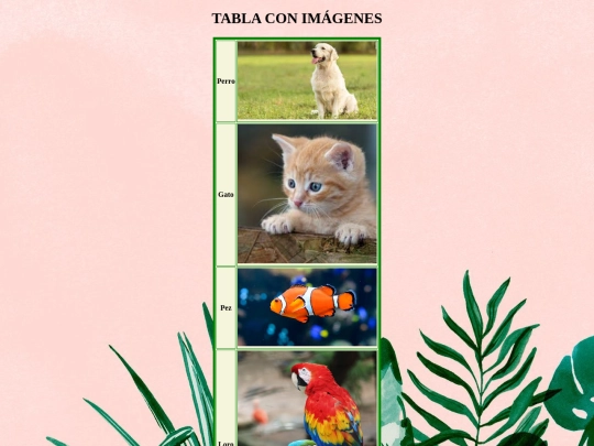 Ejercicio06 screenshot