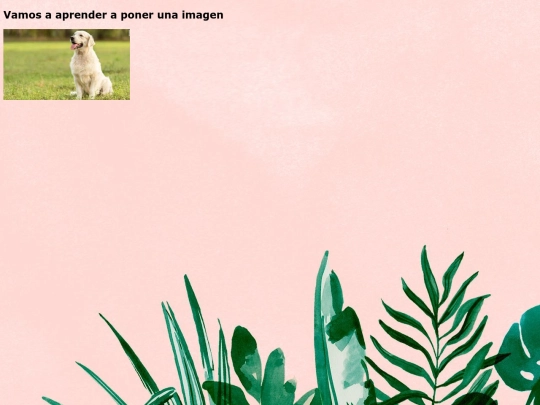 Enclase(imagen) screenshot