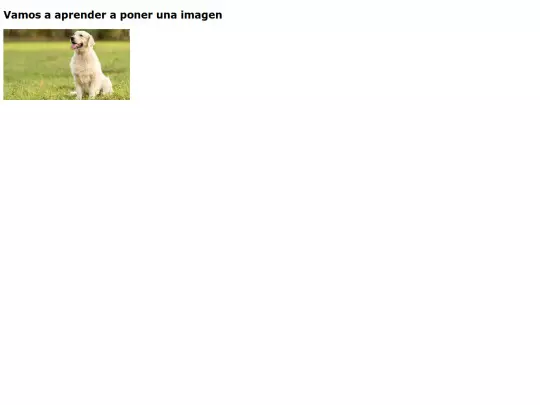 Enclase2 screenshot