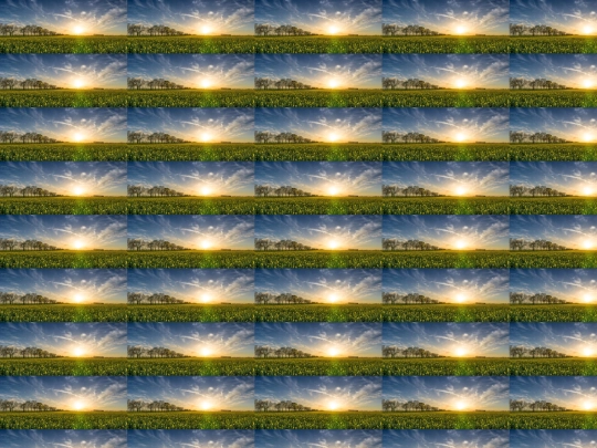 Practica10c/campo screenshot